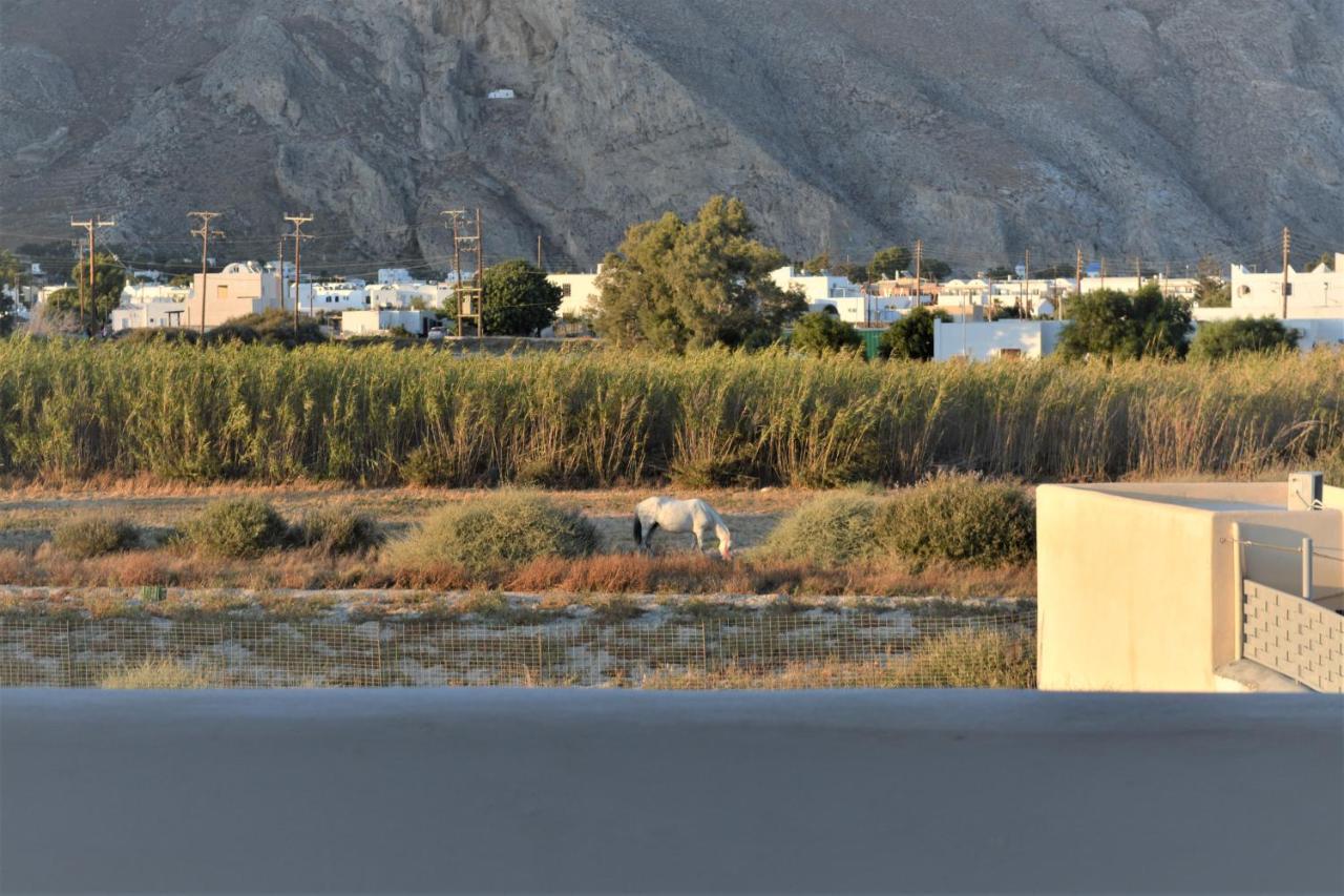 Villa Konstantinos بيريسا المظهر الخارجي الصورة